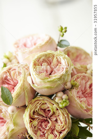 Bouquet Bouquet 31957855