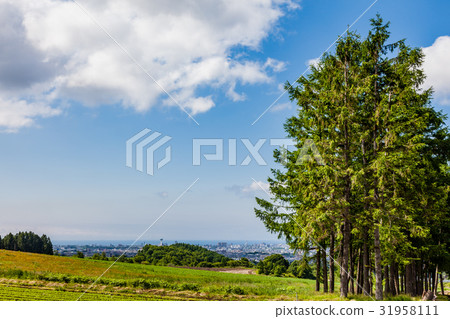 The city of Hakodate that you want in the distance 31958111