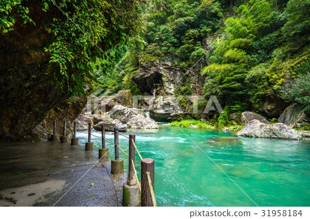 在高知縣的秘密地方神秘的山谷“中津谷”體驗Ninodo Blue！ 31958184