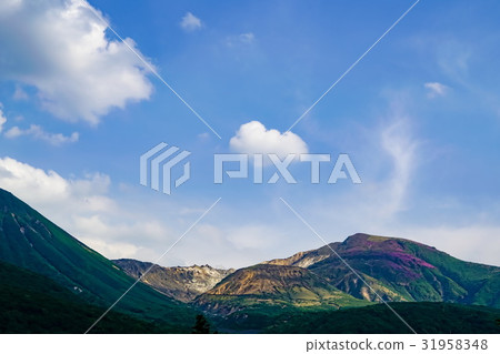 Iwooyama Hoshiyama 31958348