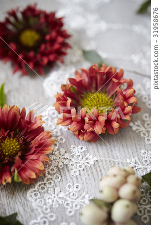 Flowers Flowers 31958676