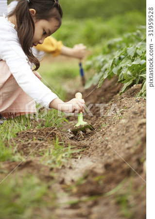 child child 31959528