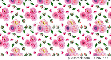 Wildflower rose pattern flower in a watercolor 31961543