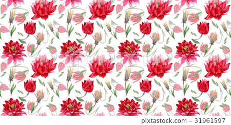 Wildflower Aquilegia flower in a watercolor style Wildflower Aquilegia flower in a watercolor style 31961597