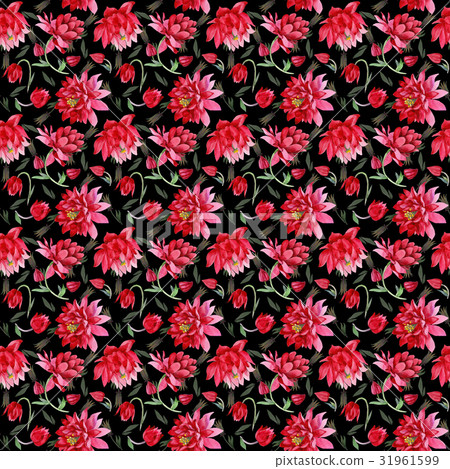 Wildflower Aquilegia flower in a watercolor style Wildflower Aquilegia flower in a watercolor style 31961599