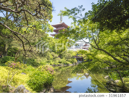 Legislative Garden in Asakusa-ji (Taito-ku, Tokyo) 31961857