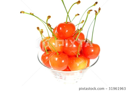 Cherry Cherry 31961963