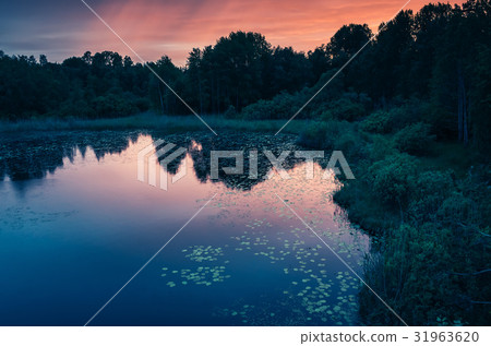 Still lake landscape at white night. Colorful sky 31963620