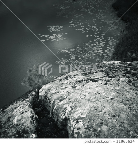 Ladoga lake, monochrome coastal landscape 31963624