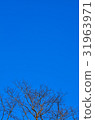 Dead tree, trees on a blue sky background 31963971