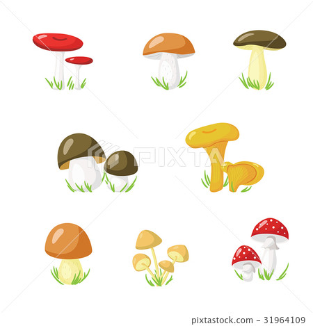 Set of eight mushrooms in the grass 31964109