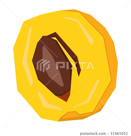 Isolated cut apricot 31965052