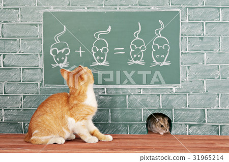 Animal school Animal school 31965214