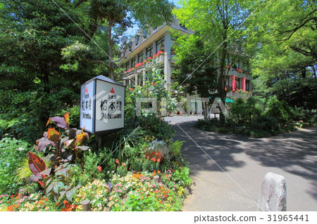日比谷公園的新鮮綠色 日比谷公園的新鮮綠色 31965441