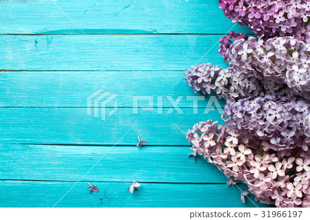 The beautiful lilac on a wooden background The beautiful lilac on a wooden background 31966197