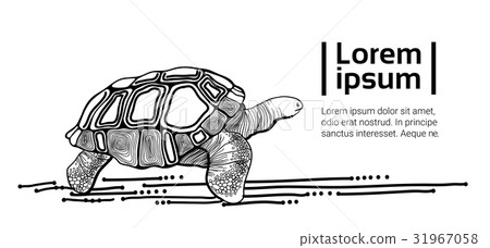 Turtle Drawing Black Animal With Copy Space 31967058