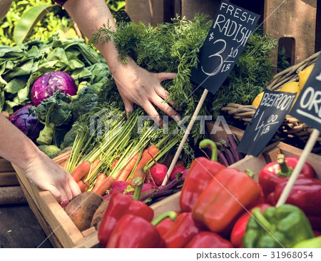 Greengrocer preparing organic fresh agricultural product at farm 31968054