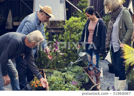 Group of people planting vegetable in greenhouse 31968067