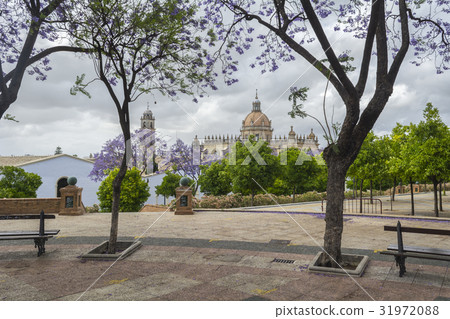 Jerez de la Frontera cathedral view 31972088