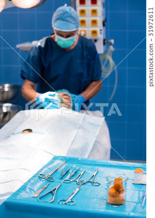 Close-up of surgical tool on tray Close-up of surgical tool on tray 31972611