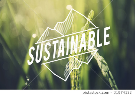 Alternative Farming Sustainable Nature Concept 31974152