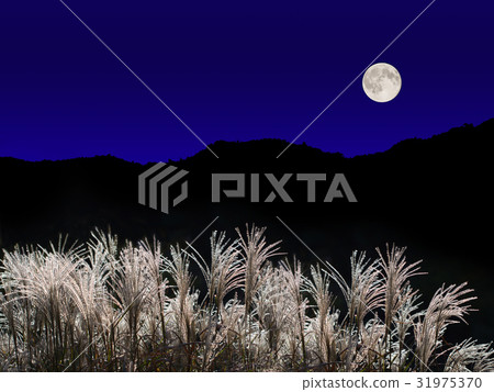 Full Moon and Susuki 31975370