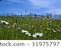 Farm of the plateau 2 31975797