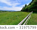 Ranch of the plateau 4 31975799