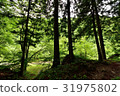  Dark green 31975802