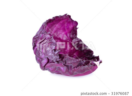 fresh red cabbage leaves on white background fresh red cabbage leaves on white background 31976087