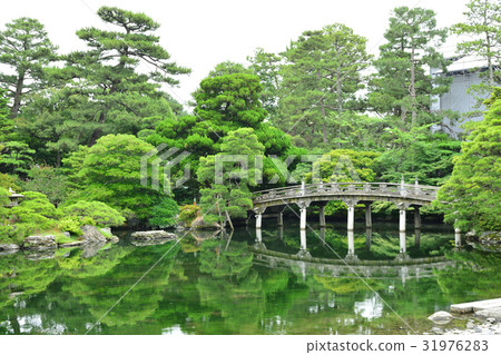 京都市京都御所花園 京都市京都御所花園 31976283