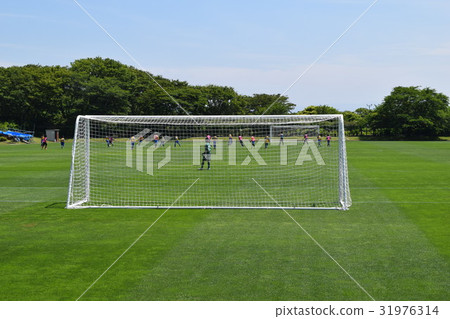 足球 足球 31976314
