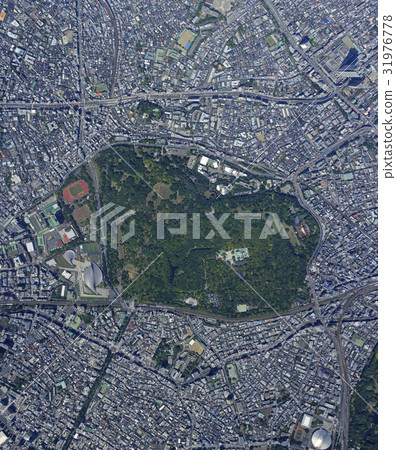 Yoyogi Park whole view / true bird's eye view series 31976778