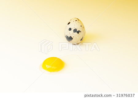鵪鶉蛋 31976837