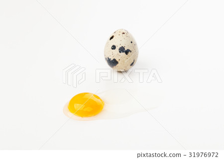 Quail eggs and quail eggs 31976972