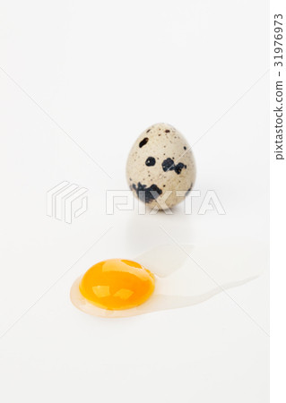 Quail eggs and quail eggs Quail eggs and quail eggs 31976973