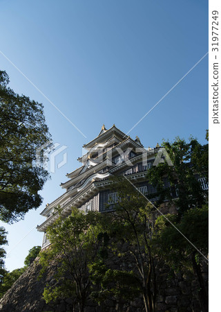 I look up to the castle tower of Okayama castle 31977249