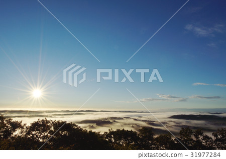 Morning fog wrapping rural areas (Hokkaido · Tokachi) Morning fog wrapping rural areas (Hokkaido · Tokachi) 31977284