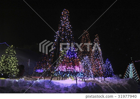 十和田冬季物語 31977940