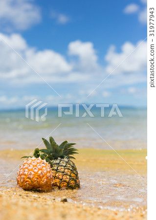 菠蘿和熱帶海灘 31977943