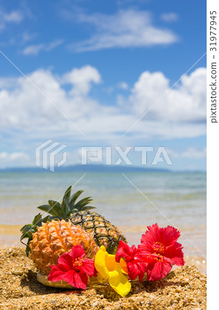 菠蘿和熱帶花卉 菠蘿和熱帶花卉 31977945
