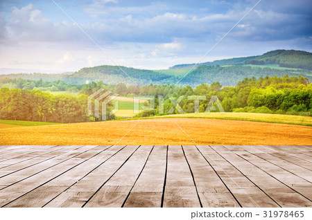 golden wheat field in summer with wood desk 31978465