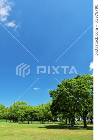 Peaceful park of blue sky Kumamoto 31978790