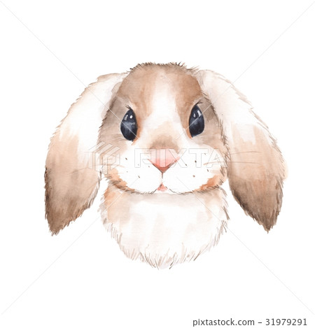 Cute rabbit. Watercolor illustration 1 Cute rabbit. Watercolor illustration 1 31979291
