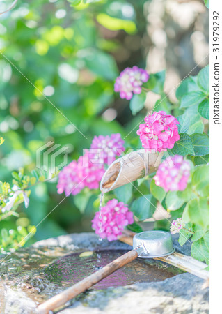 前Nogami Inage神社 前Nogami Inage神社 31979292