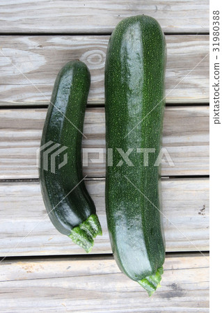 Agriculture Family garden girls 31980388