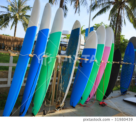 Row of surfboards for rent at seaside surf club 31980439