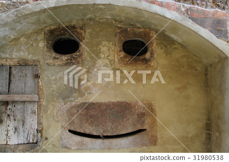 The Face in the Wall 31980538