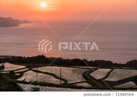 Tohoda field Rice terrace Tohoda field Rice terrace 31980564
