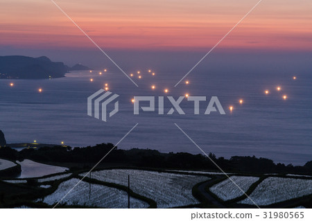 Tohoda field Rice terrace Tohoda field Rice terrace 31980565